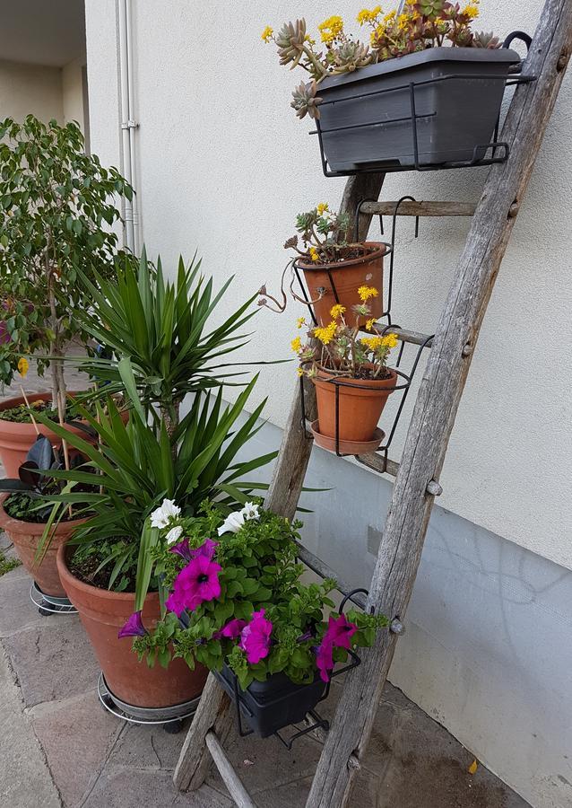 艾迪尤维奇乌利维住宿加早餐旅馆 Garlate 外观 照片